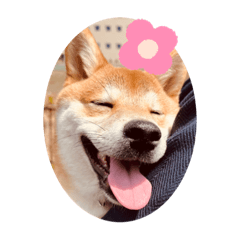 Arisa_20220406162726