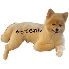 rina_20220407011233