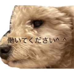 c_20220407013144