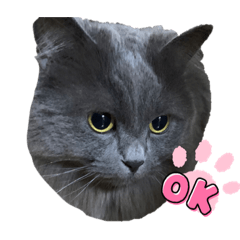 yukari_20220406193153