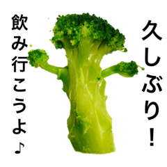 seira_20220406235745