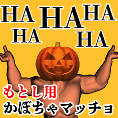 Motoshi Pumpkin macho