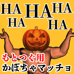 Mototsugu Pumpkin macho