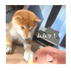 Miki_20220406231742