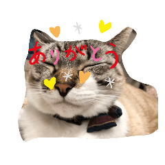 Natsumi_20220407113808