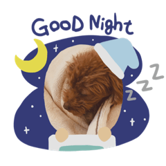 Akiko_20220407025237