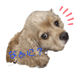 sayuri_20220407094249