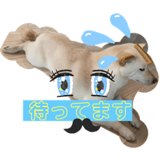 siro_20220407092901