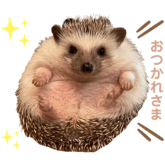 himawari_20220407084449