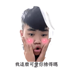 豬凱日常