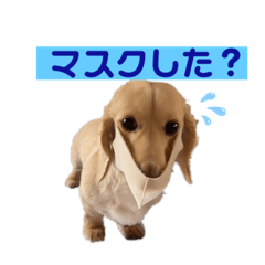 risa_20220407123042