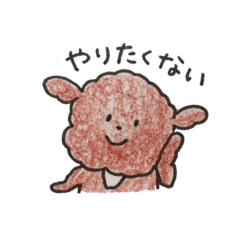 Toy poodle Opuo Chan 4