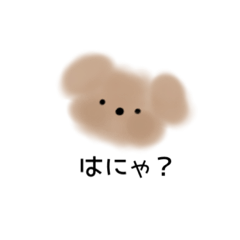melon_20220406174012