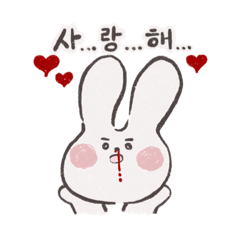 pil rabbit