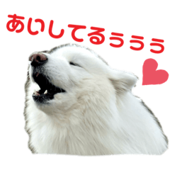 kaori_20220407195337
