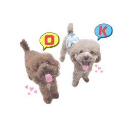 Ringo_20220407231701