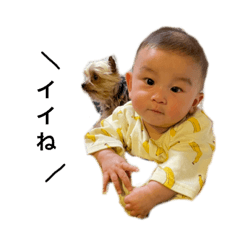 Nanami_20220408004219