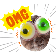 mizuki_20220408111225