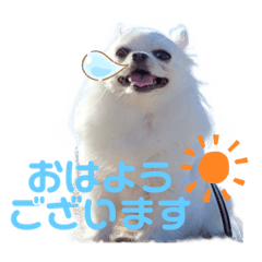 alice_20220407221128