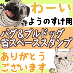 Younosuke Pug & Bulldog Space saving