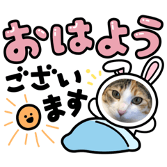 MSK_20220407220528