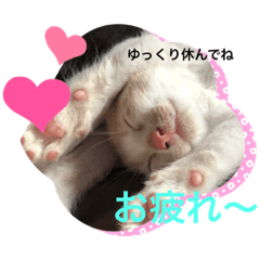 ton_20220408112228