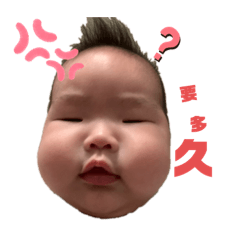 碰碰0408