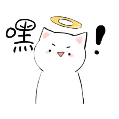 不可描述的貓