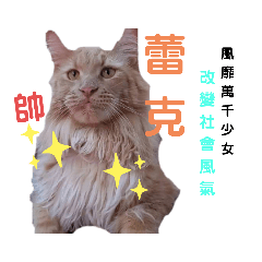 蕾森林愛的小寶貝1