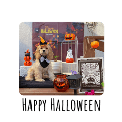 ARISA_20220408170300