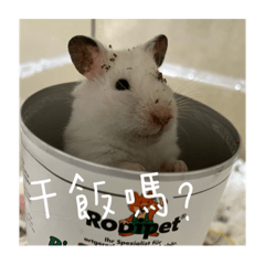 阿北和小夥伴ㄉ日常