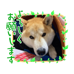 smile_20220408144555