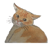 pretty cat!!!