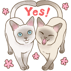 Love tonkinese (English edition)