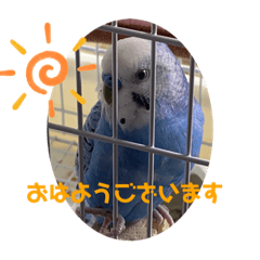 kaori_20220408184836