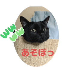 pyonchandayo