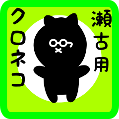 black cat sticker for seko