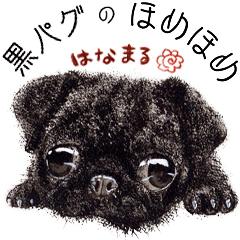 Pug praises you Sticker