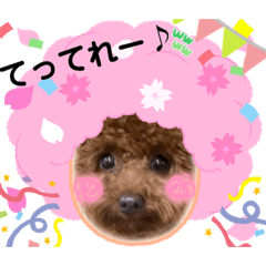 naho_20220408190843