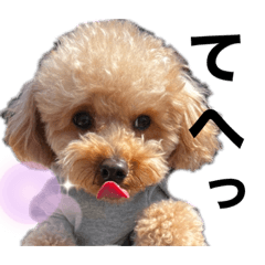 HIKARI_20220409032549