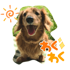 kuu_20220409010946