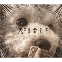 yuina_20220409135811