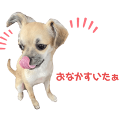 himawari_20220409004550