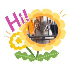 akiko_20220408223427