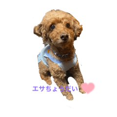 rina_20220409140103