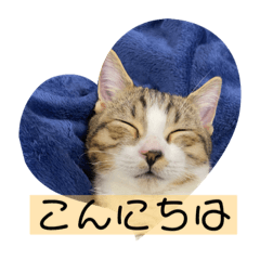hana_20220409123315