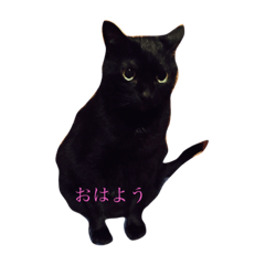 ebikuro