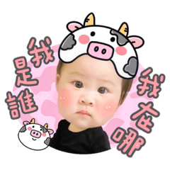 勾錐豆花牛牛來報到