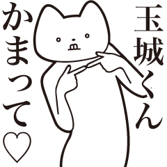 Tamashiro-kun [Send] Cat Sticker