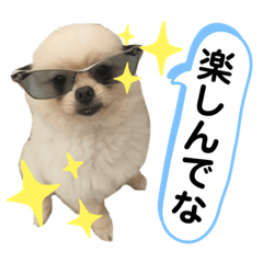 mipopopoporon_20220409132858